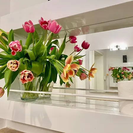 Dornrose 31 Apartment *