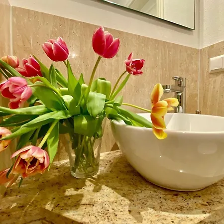 Dornrose 31 Ostseeheilbad Zingst