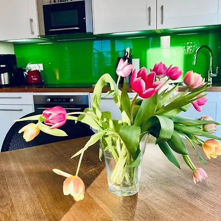 Dornrose 31 Apartment *