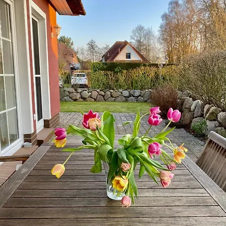 Dornrose 31 Apartment *