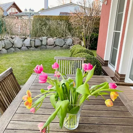 Dornrose 31 * Ostseeheilbad Zingst